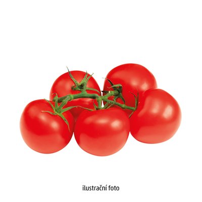 obrázek Rajčata keřík