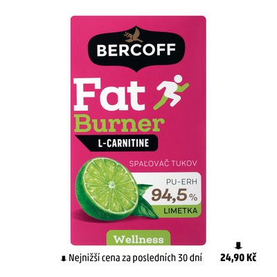 obrázek Čaj Fat Burner, Ginko Bercoff