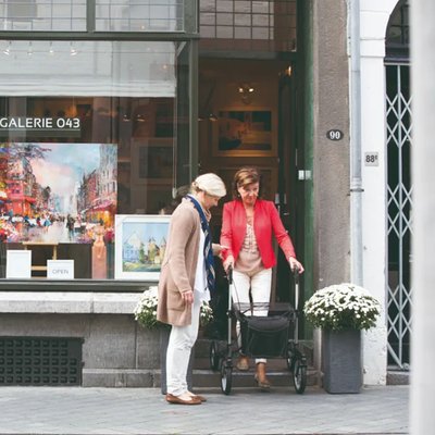 Gallery Image of Rollator GEMINO 60 mit wetterfester Tasche & XXL Rädern