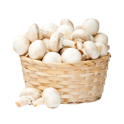 Imaginea CIUPERCI CHAMPIGNON