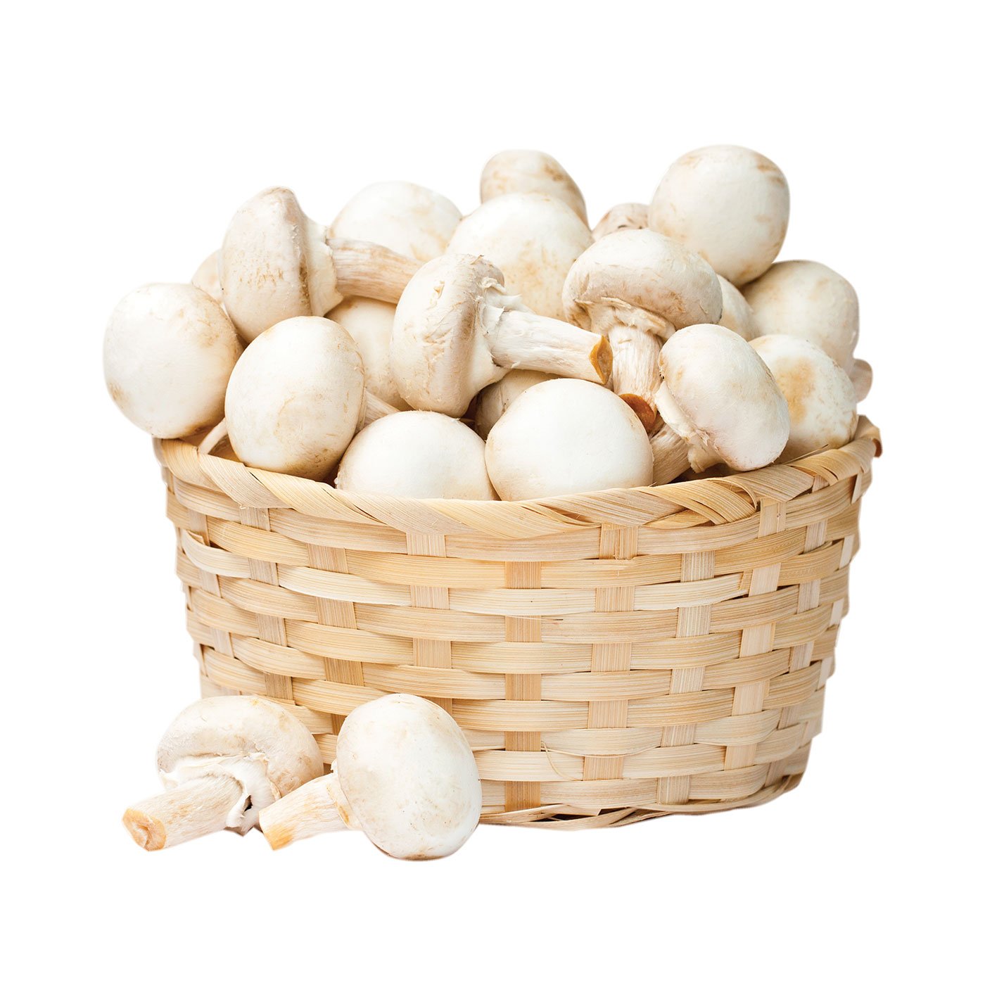 Ciuperci Champignon