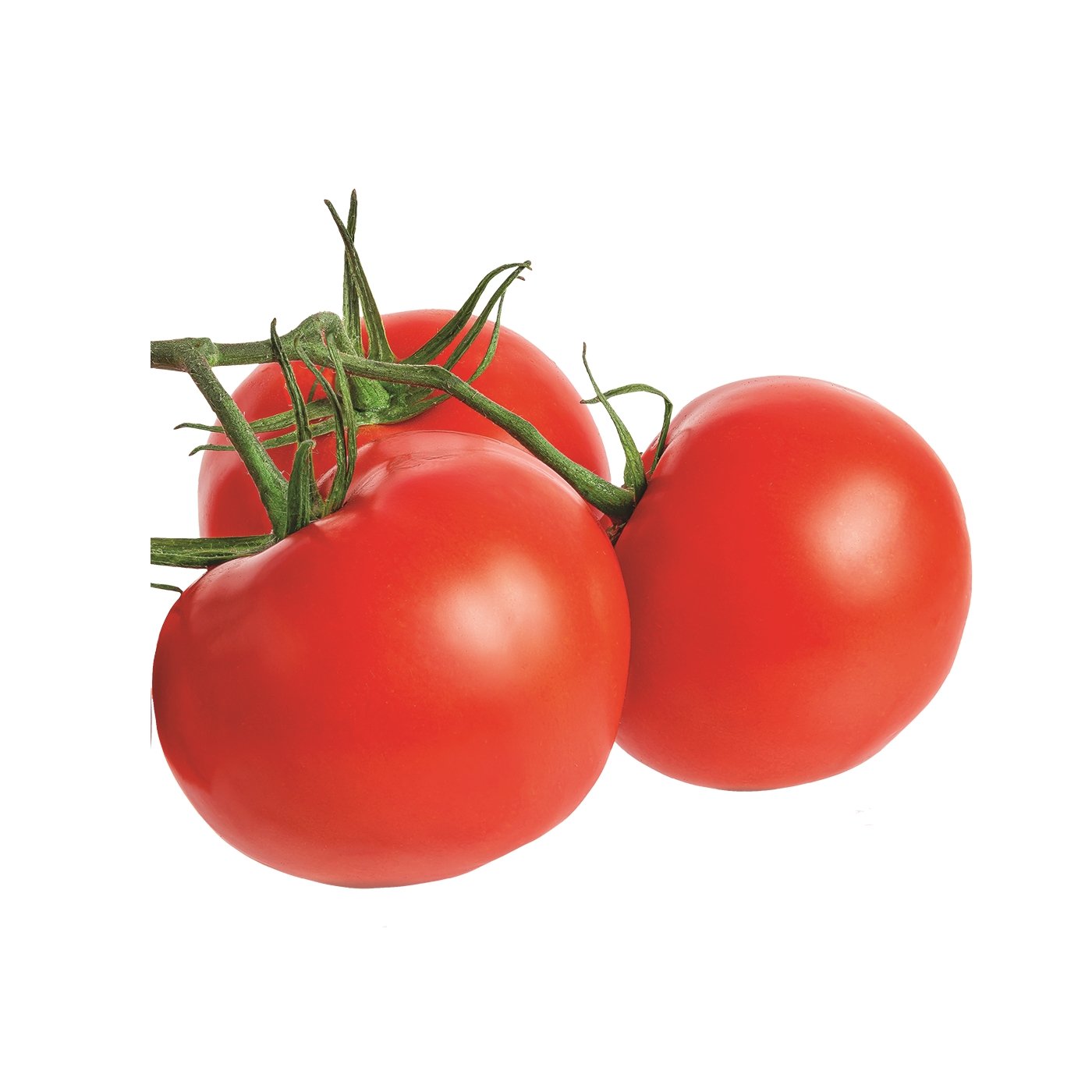 Rosii