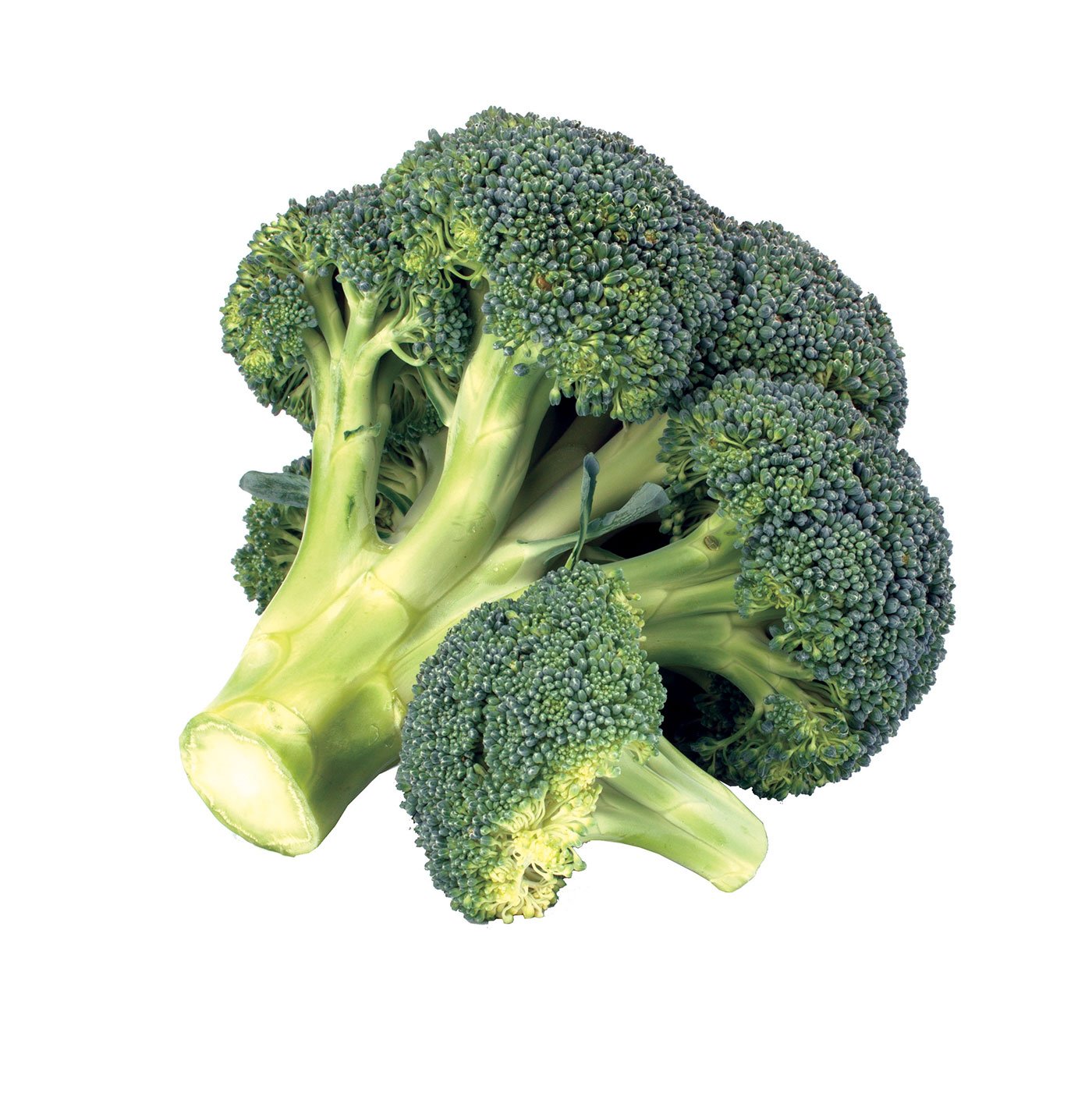 Broccoli