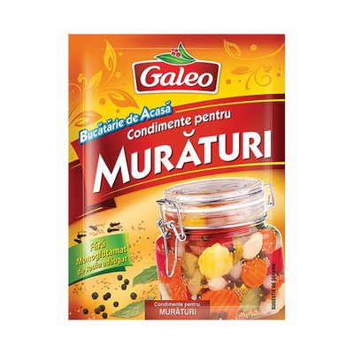 Imaginea GALEO CONDIMENT PENTRU MURATURI