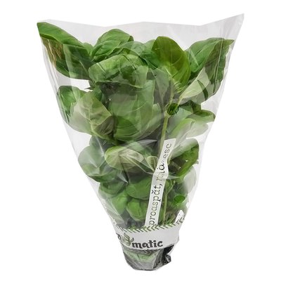 Imaginea BUSUIOC GHIV. 8CM