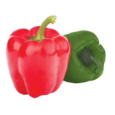 Imaginea ARDEI GRAS BICOLOR