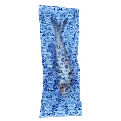 Imaginea COPANEX CHEFAL INTREG KG