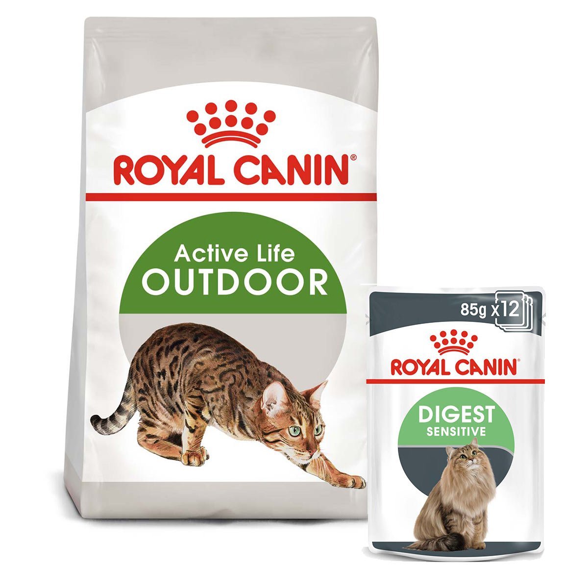 Royal Canin Katzen-Trockenfutter online kaufen | ZooRoyal