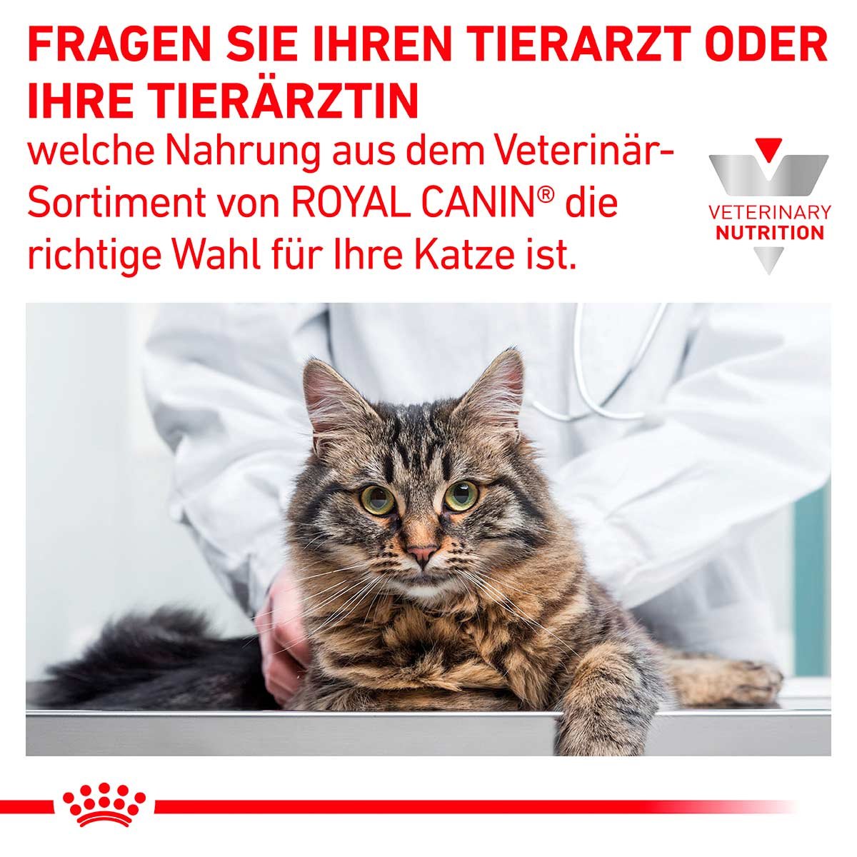 ROYAL CANIN Veterinary GASTROINTESTINAL Trockenfutter fr Katzen - 2kg  kaufen bei ZooRoyal