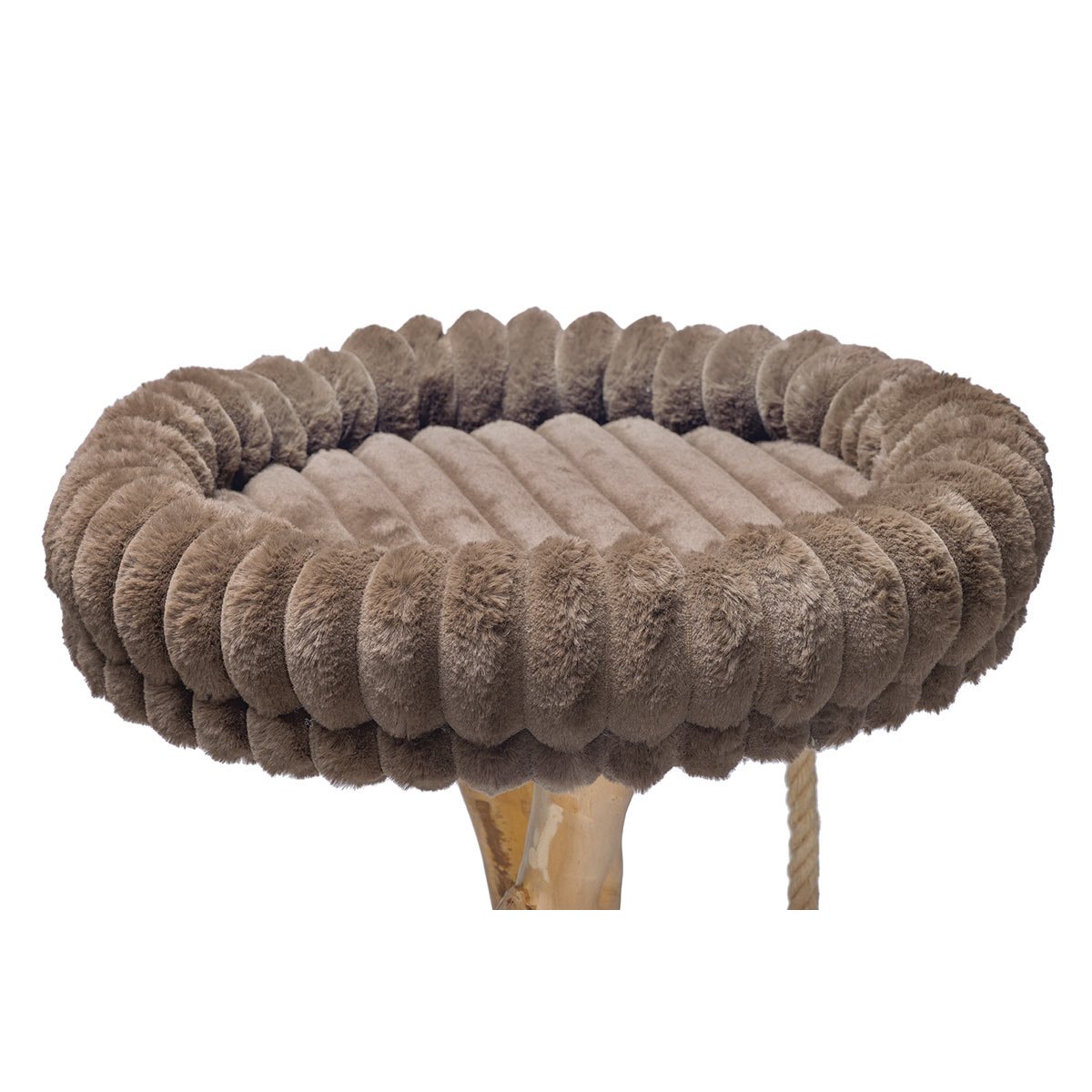 fahrradanhnger gebraucht kaufen THULE Fahrradanhnger CHARIOT LITE 2-Sitzer gebraucht / refurbished