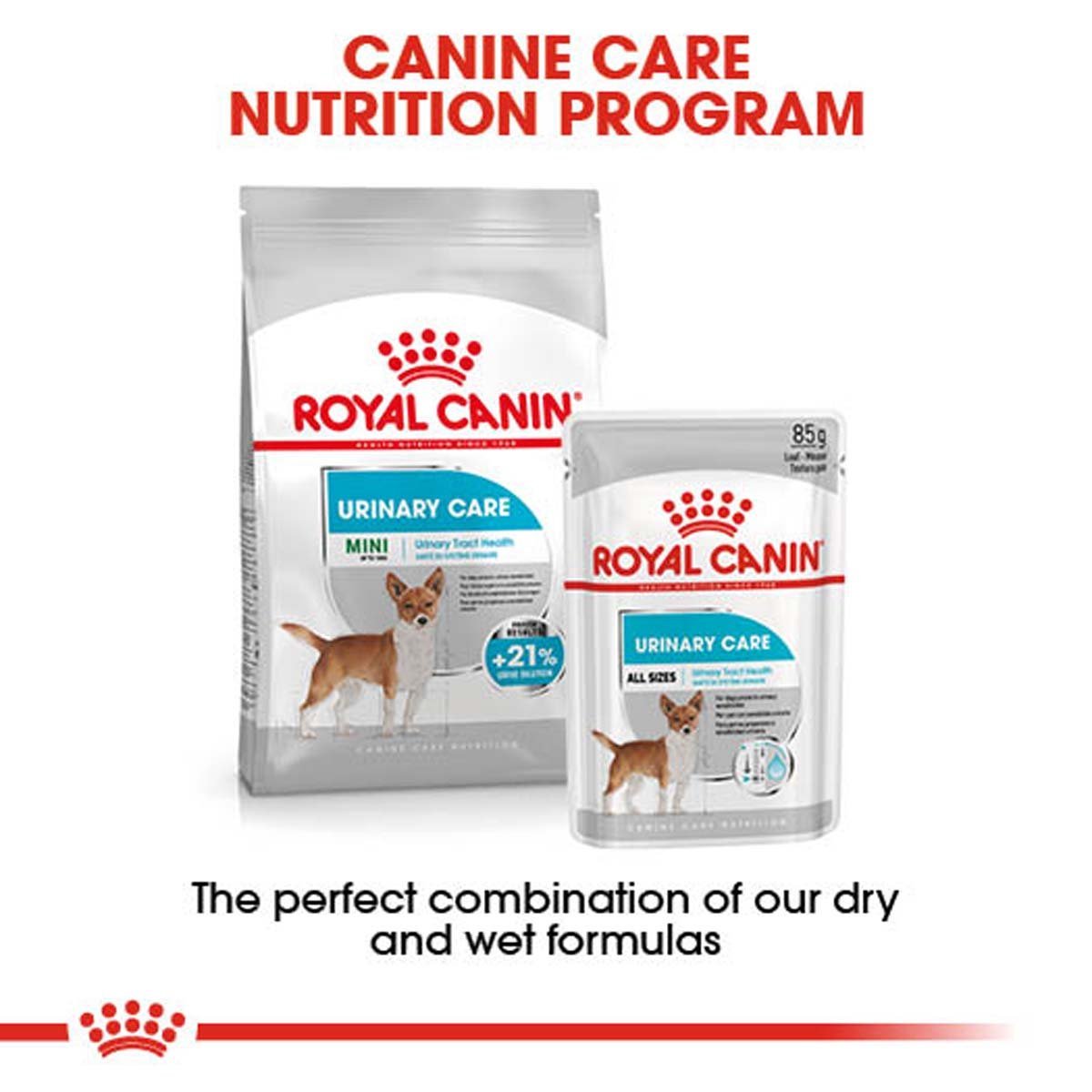 ROYAL CANIN Urinary Care Nassfutter fr Hunde mit empfindlichen Harnwegen  12x85g kaufen bei ZooRoyal