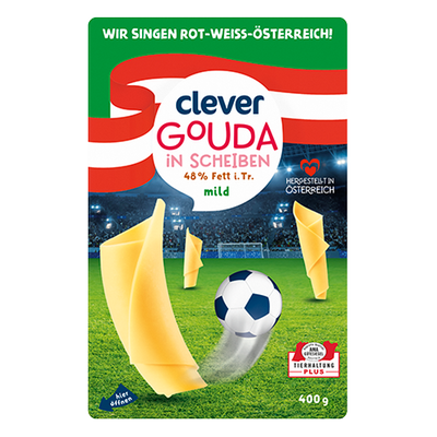 Gouda in Scheiben, 45% Fett i.Tr., 400g Produktbild