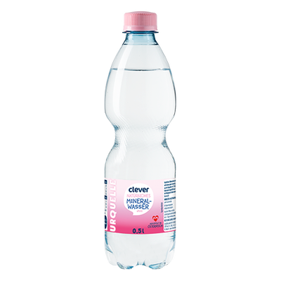 Natürliches Mineralwasser still, 0,5L Produktbild