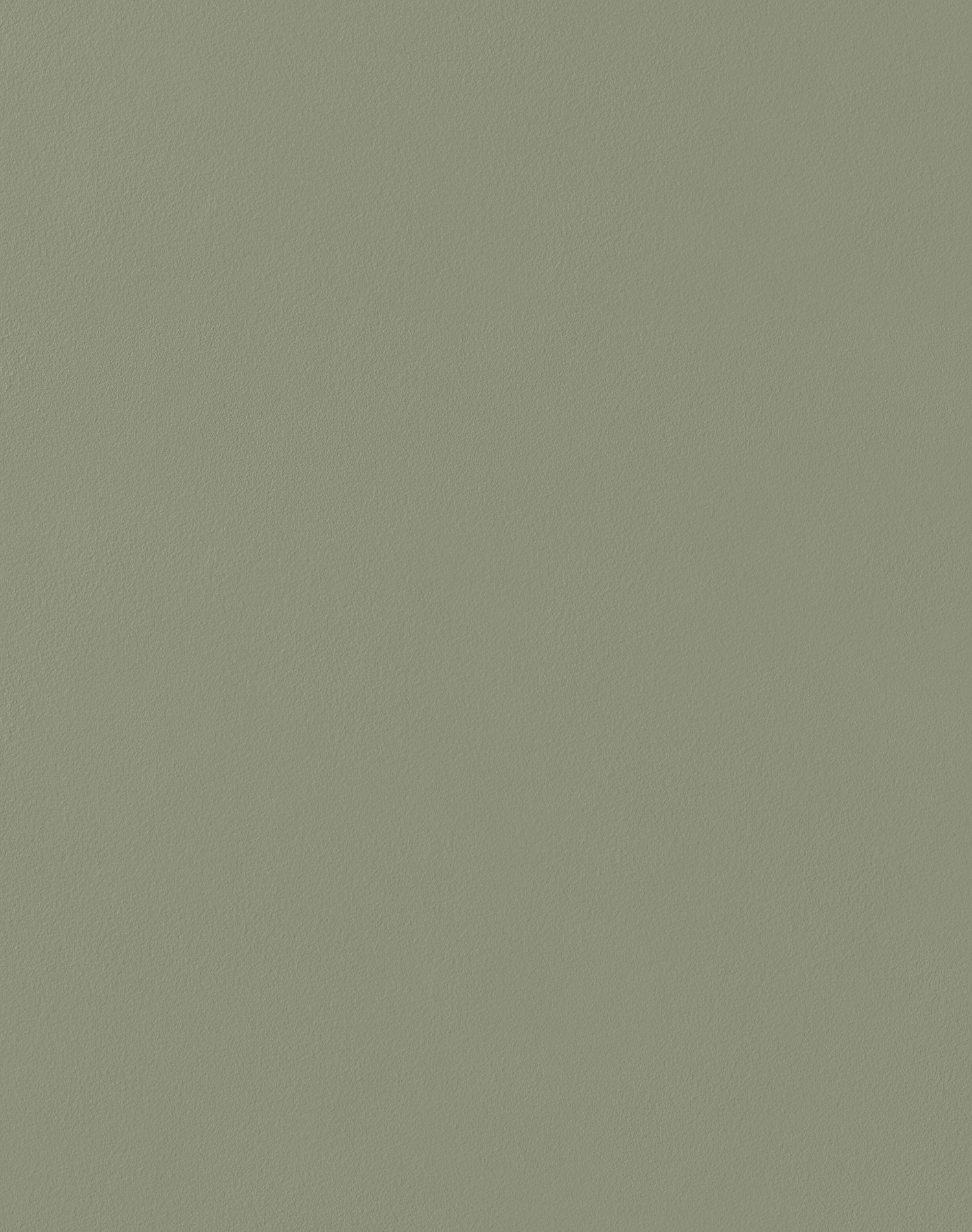 A6 Sample Matt Paint Woody