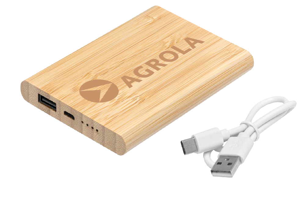 Power Bank Bambou