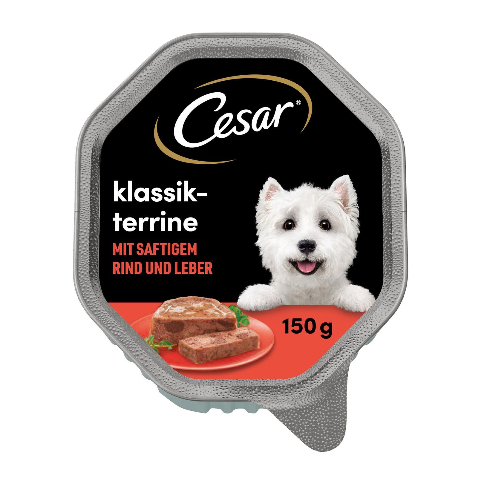 trinkflaschen für hunde Hundetrinkflasche - Edelstahlflasche mit Napf - KONG main image 0