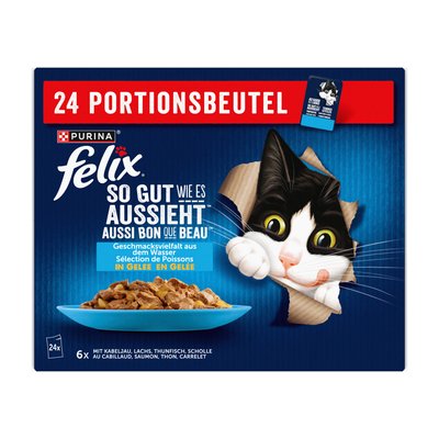 Bild von Felix So gut wie es aussieht Fisch 24er