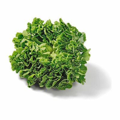 Bild von Da komm ich her! Endiviensalat