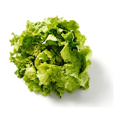 Bild von Da komm ich her! Grazer Krauthäuptelsalat