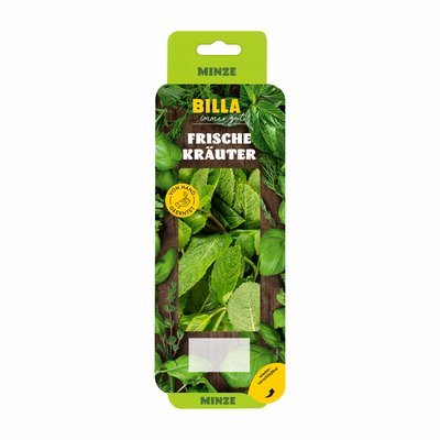 Bild von BILLA Minze