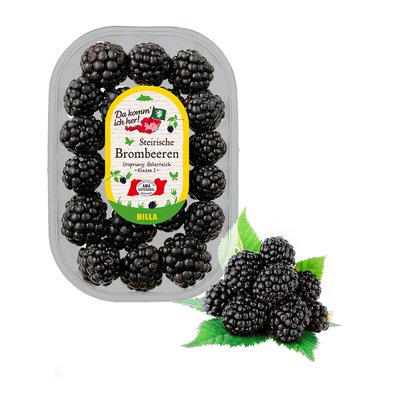 Bild von Da komm ich her! Brombeeren