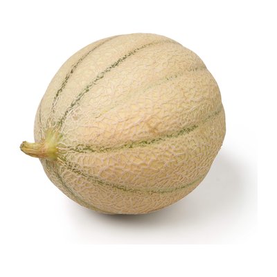 Bild von Zuckermelone Charentais
