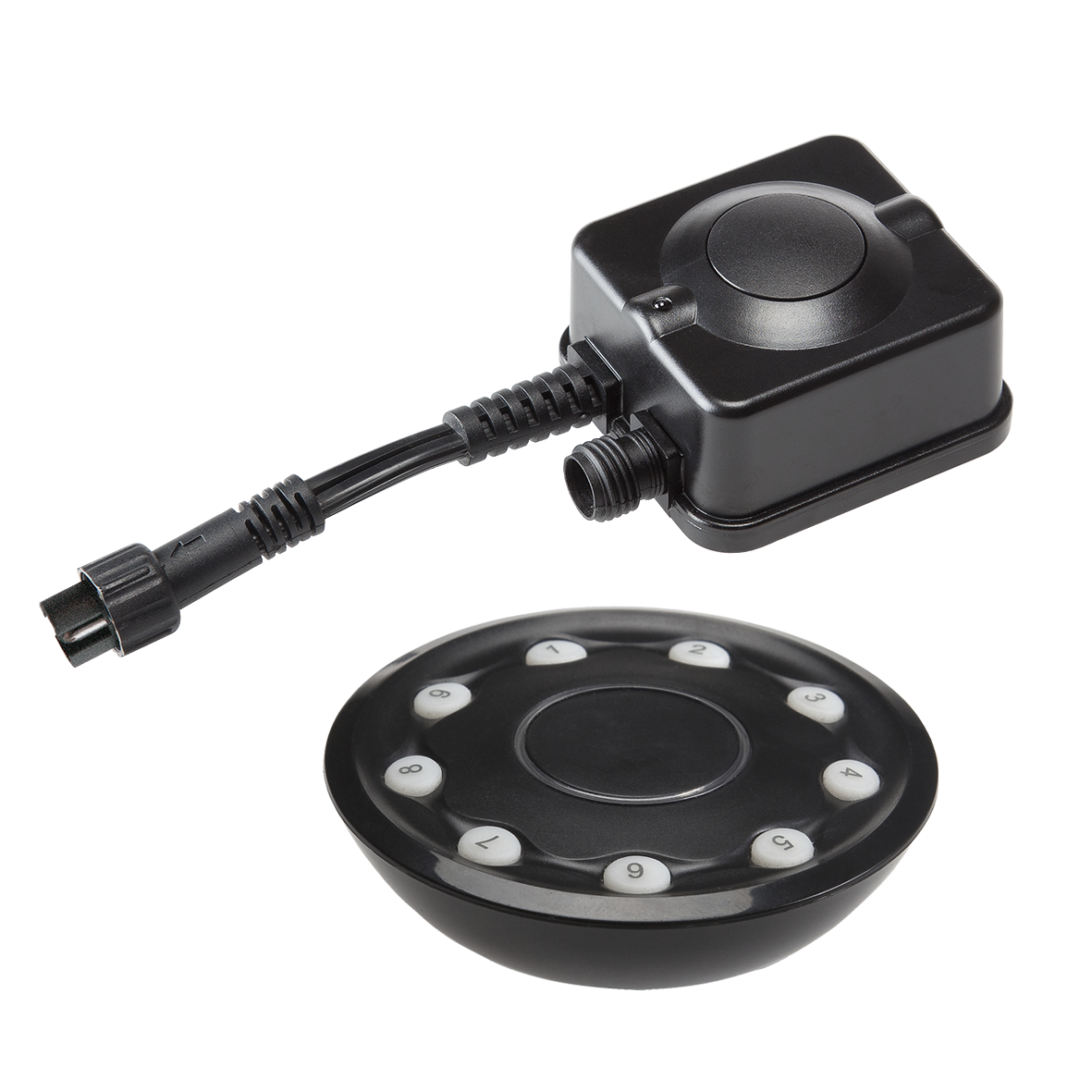 12V_afstandsbediening_en_ontvanger_max_150W_Garden_Lights