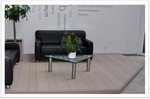 1_mm_clip_vlonder_zonder_naden
