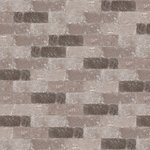 21x7x8cm_Certosa