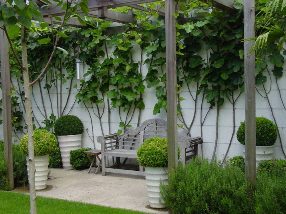 60plus_soft_comfort_ivory