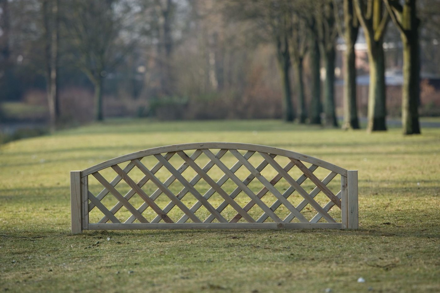 Arched_Frame_Trellis_D_01