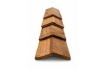 Cedar_Nokvorsten