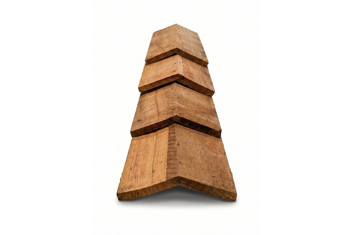 Cedar_Nokvorsten