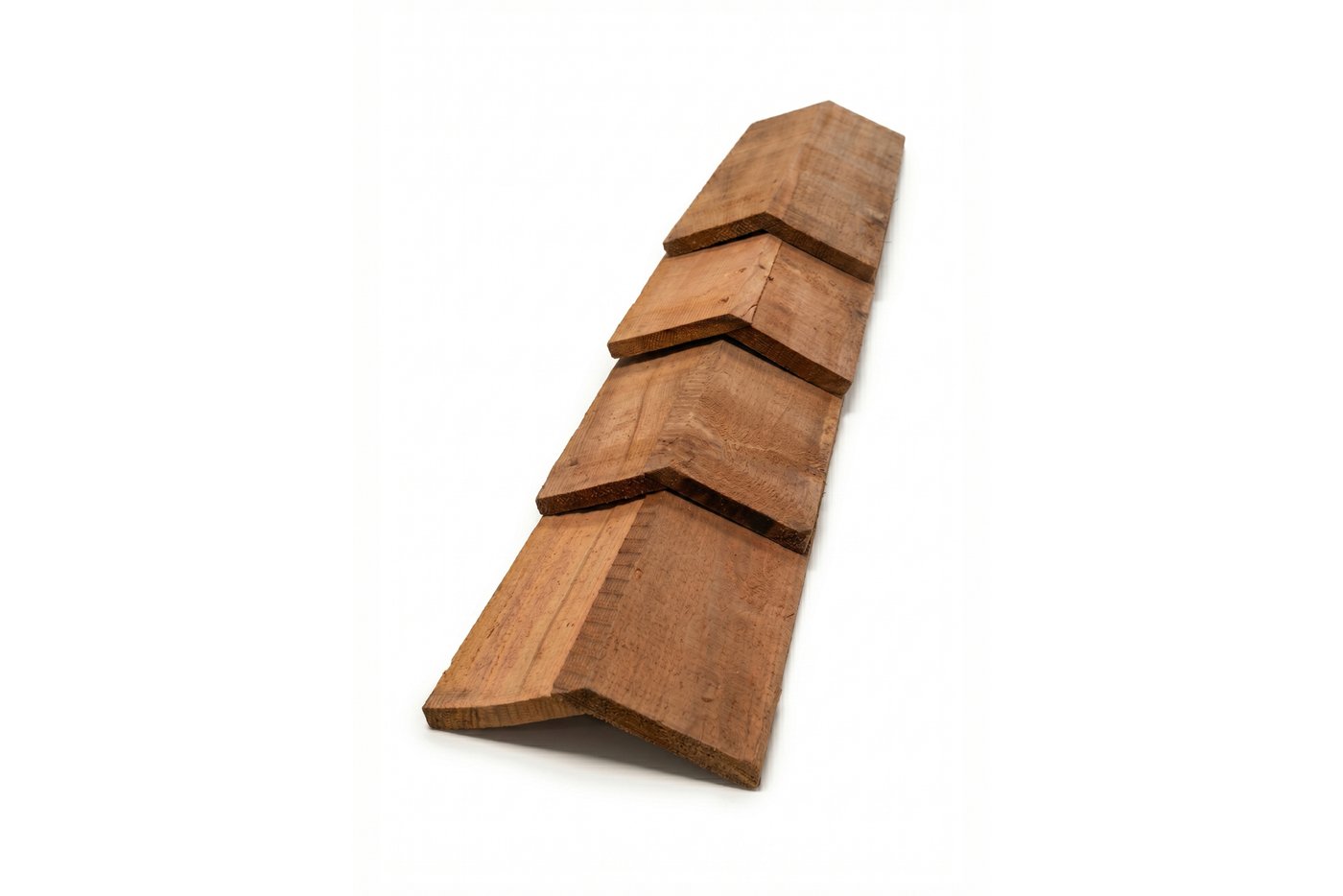 Cedar_Nokvorsten_2