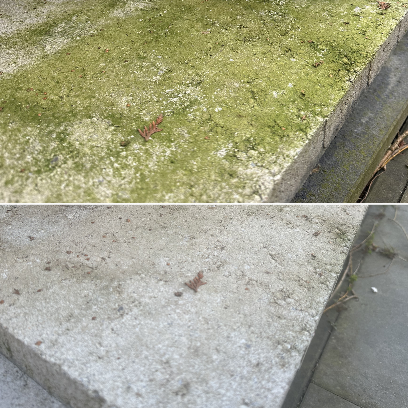 CleansomeBIOGreenRestorevoorna