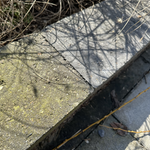 CleansomeBIOGreenRestorevoorna2