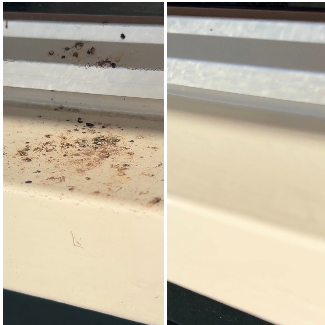 CleansomeTotalCleanvoorenna