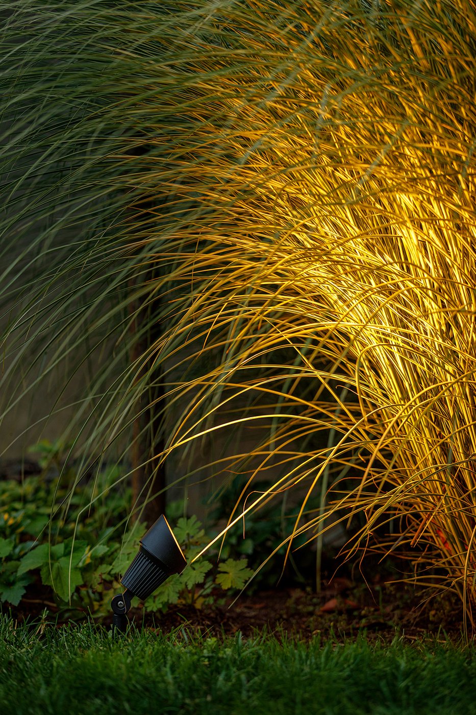 Focus_sfeer_Garden_Lights