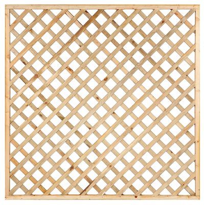 Framed_Diagonal_Trellis_D