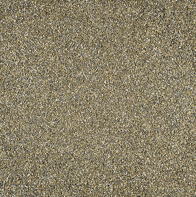 FundykingFunderingZand
