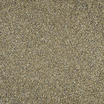 FundykingFunderingZand