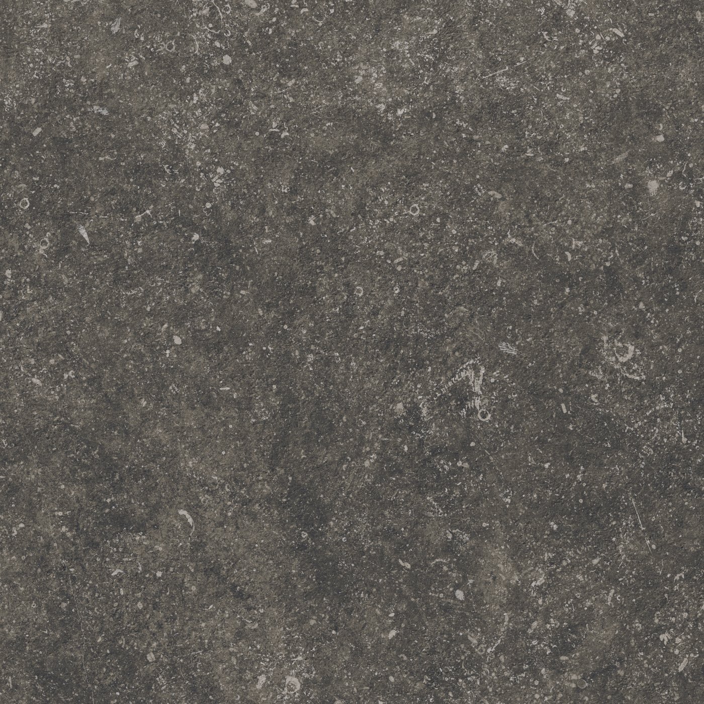 Keramische_Terrastegel_Gardenlux_Ceramica_Medicio_Graphite_59_5x59_5x2cm