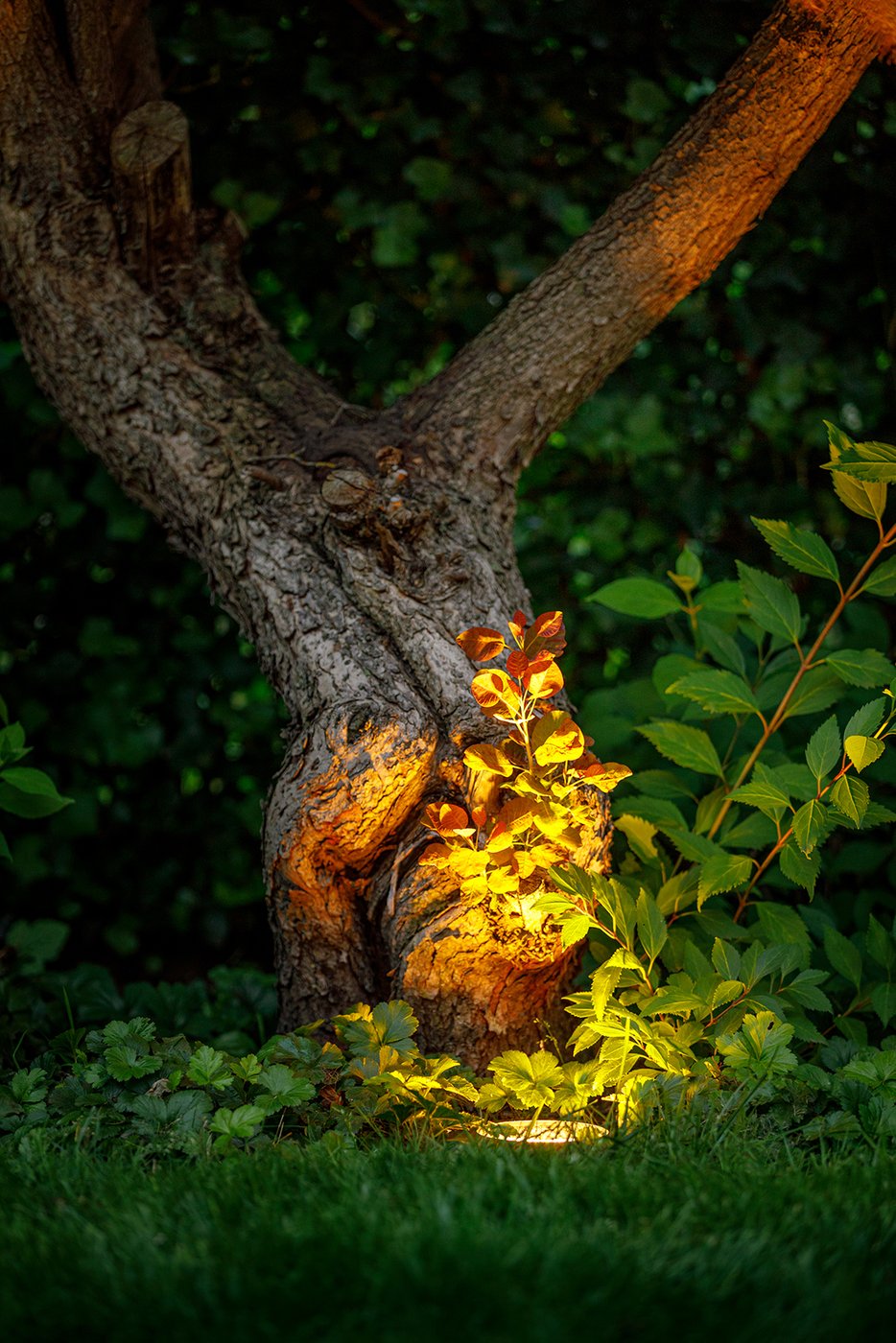 Rubum_sfeer_1_Garden_Lights