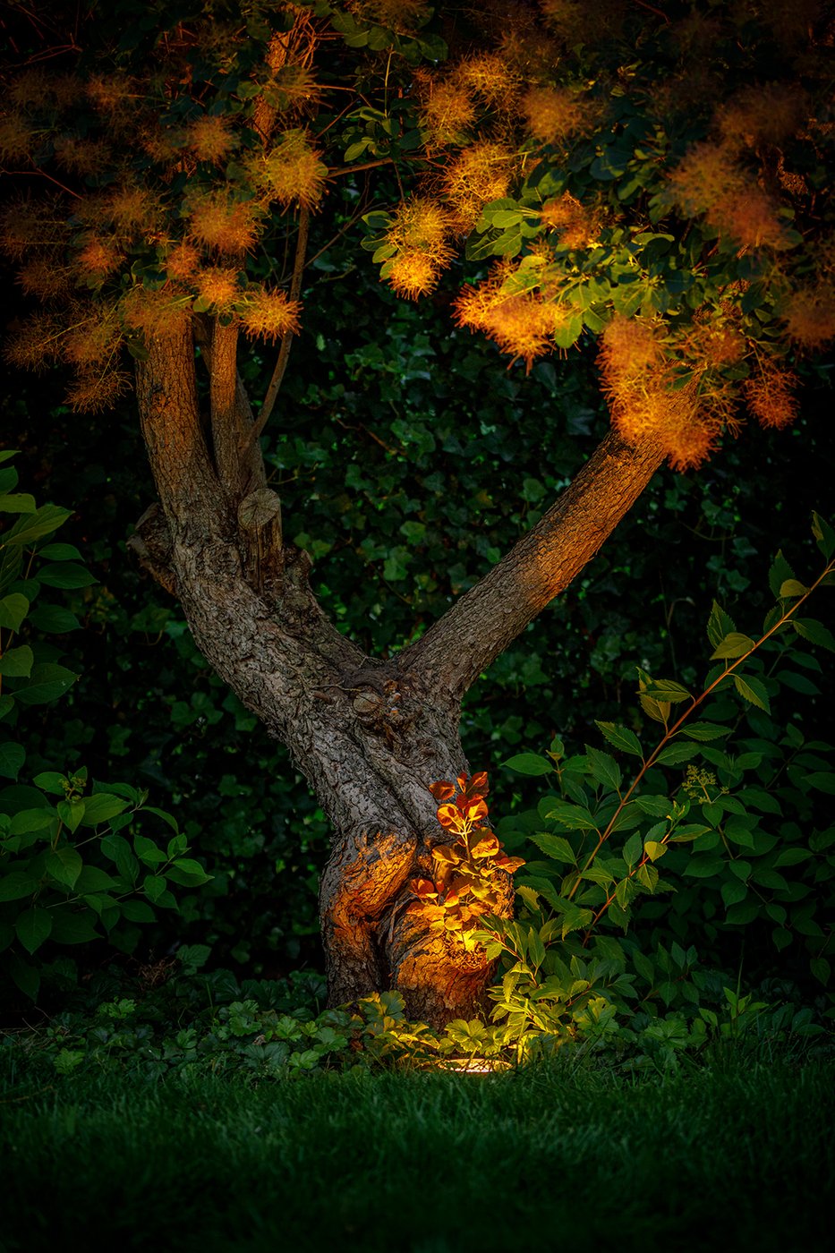 Rubum_sfeer_2_Garden_Lights