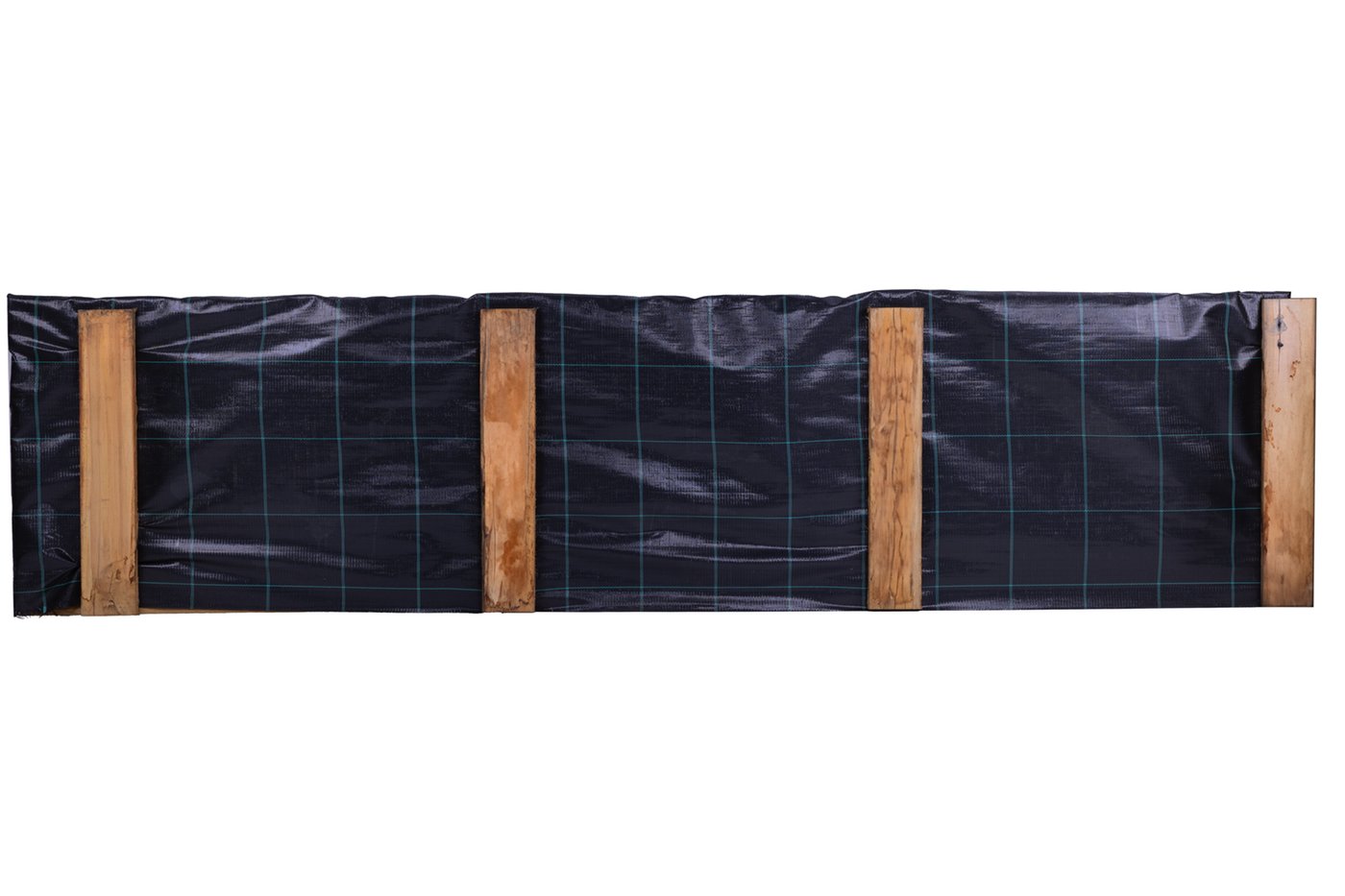 Schot_Cloeziana_2x60x250cm_back
