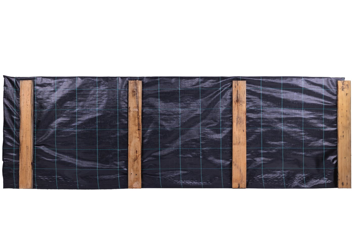 Schot_Cloeziana_2x80x250cm_back