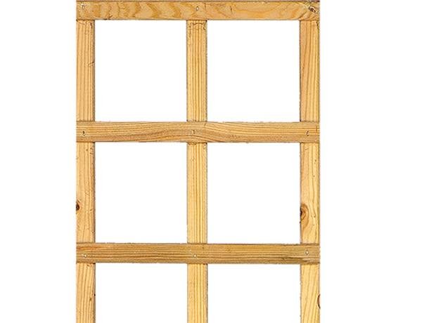 Straight_Trellis_30cm_PI