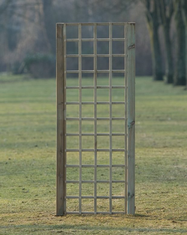 Trellis_60cm