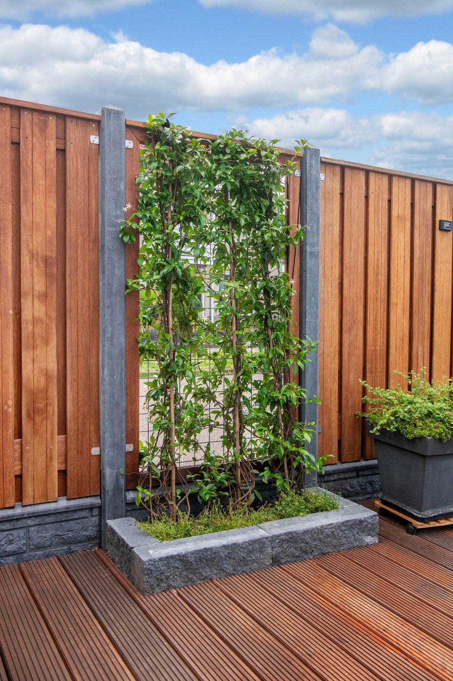 Tuinscherm_Hardhout_sfeer