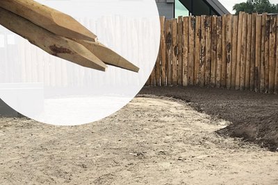 VZ719999_Kastanje_paal_12_14_cm